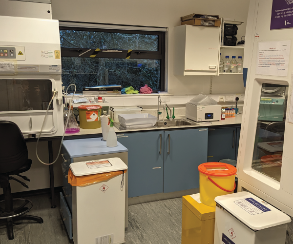 Image of general laboratory facility