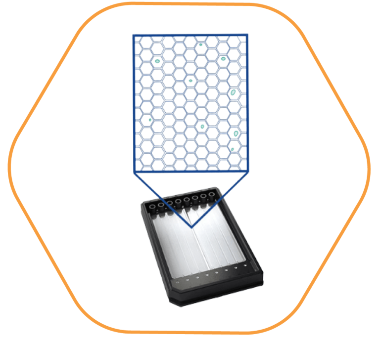 1-BD-Rhapsody-Scanner-Cartridge.png